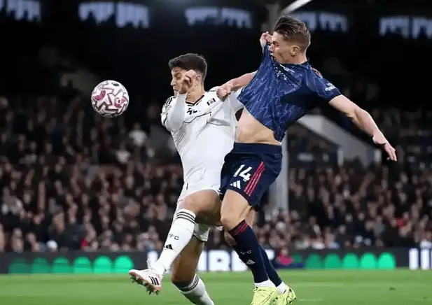 组织, OMHdI 组织, OMHdI