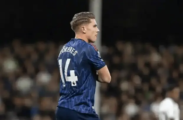 msn, 感显然不够 msn, 感显然不够